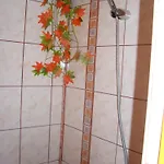 Стаи За Гости 