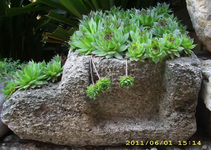 Katty Maison d'hôtes Balchik