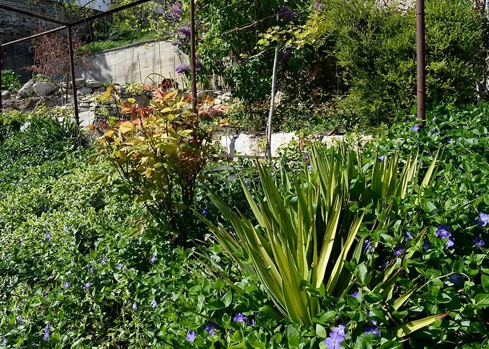 Katty Maison d'hôtes